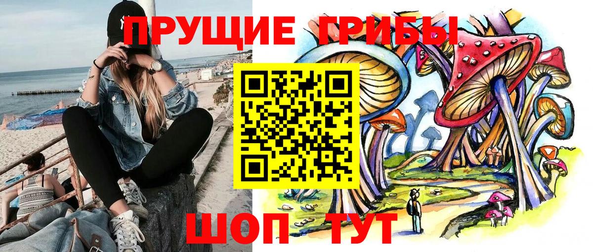 Псилоцибиновые грибы GOLDEN TEACHER Белая Калитва