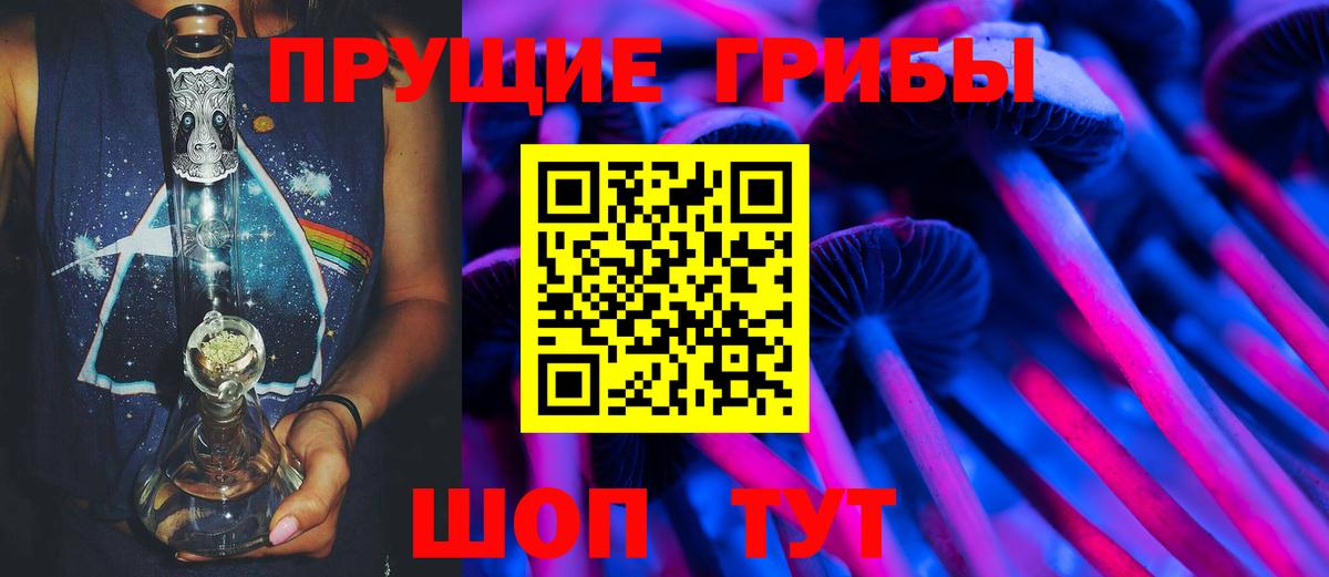 Белая Калитва  Псилоцибиновые грибы Psilocybe  Вход с VPN  Галлюциногенные грибы прущие грибы 